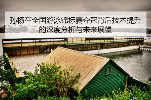 孙杨在全国游泳锦标赛夺冠背后技术提升的深度分析与未来展望