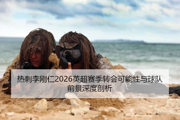 热刺李刚仁2026英超赛季转会可能性与球队前景深度剖析